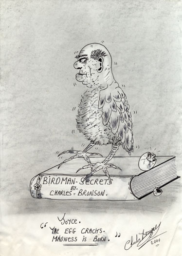 00 birdman secrets 35